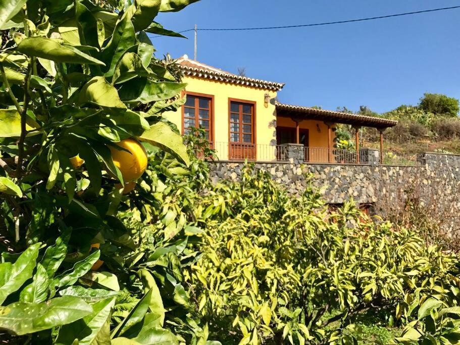 فيلا Rustic House La Montana Breña Baja المظهر الخارجي الصورة